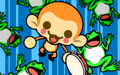 Monkey and frogs